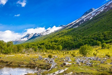 landscape of the tierra del fuego national park,  argentina