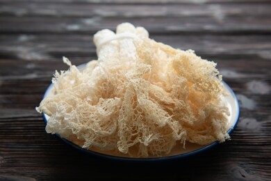 dried tropical stinkhorn mushroom, phallus indusiatus , bamboo mushroom in plate