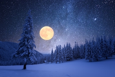 winter night with full moon and starry sky. frost covered trees in a mountain forest. landscape with fresh snow
