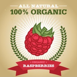vintage retro organic fruit design poster with raspberry icon