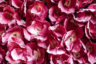 flowers made from mulberry paper, thailand.