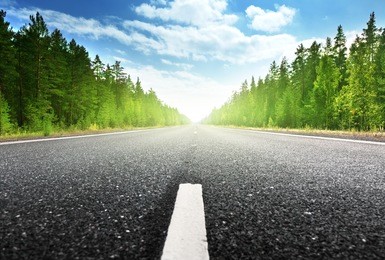 road in russian forest 