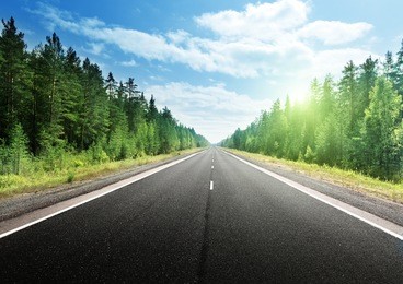 road in deep forest