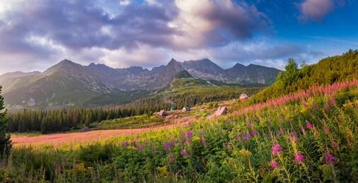 mountain landscape, tatra mountains panorama, poland colorful flowers and cottages in gasienicowa valley (hala gasienicowa), summer