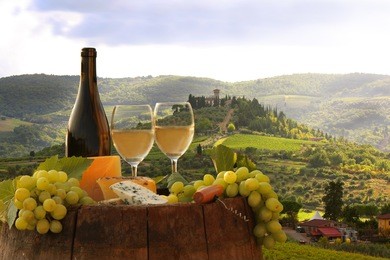 white wine with barrel on vineyard in chianti, tuscany, italy