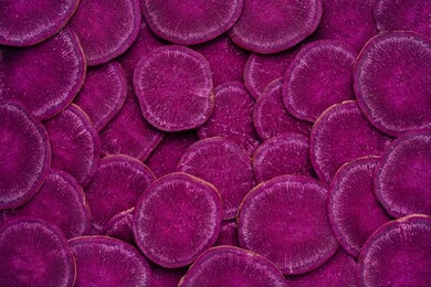 purple sweet potato sliced abstract texture background. fresh violet vegetable natural color palette of healthy antioxidant root harvest. autumn vitamin nutrition of ipomoea batatas for vegan