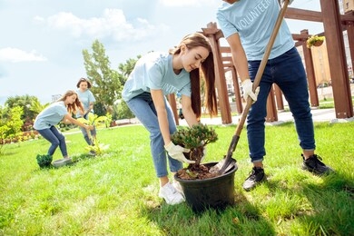 young people volunteers outdoors caring of nature planting trees boy digging plant from pot helping girl working concentrated