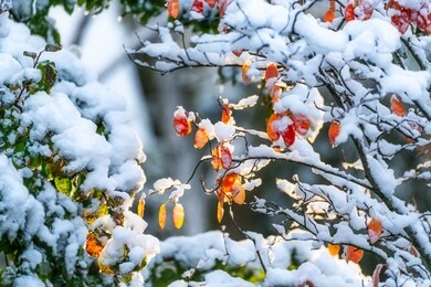 early winter landscape with autumn colors