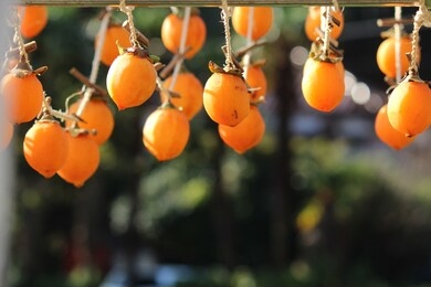 let's make japanese dried persimmons