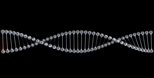 dna chain spiral in diamond like transparent material, isolated on black background, concept of genetic engineering, research, 3d rendering, 3d illustration