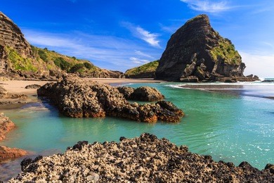 west coast beach, piha, auckland, new zealand