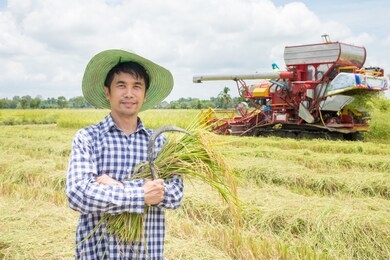 asian farmers male stand looking camera with smiling faces at green rice fields and harvest car background