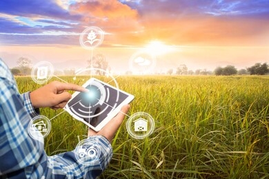 innovation technology for smart farm system, agriculture management, hand holding smartphone with smart technology concept. asian male farmer working in sugarcane farm to collect data to study.