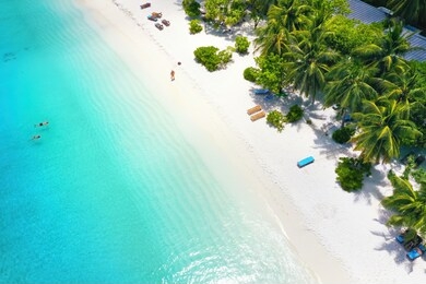 beautiful white sandy beach with turquoise ocean water, waves and green fluffy palm trees, aerial top view, copy space