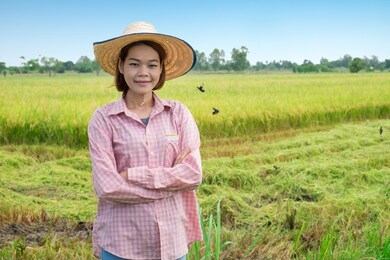 asian farmers female stand looking with smiling faces at green rice fields and blue skies.