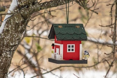 bird feeder hanging from a tree. red birdhouse with blue tit during winter in snow.
