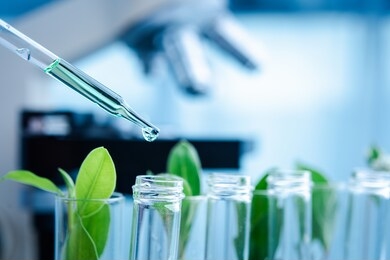 dropper over test tube dropping sample chemical into sample herbal plaint , biotechnoloy research concept.natural extracts