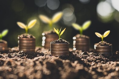 the coins are stacked on the ground and the seedlings are growing on top, the concept of saving money and financial growth.