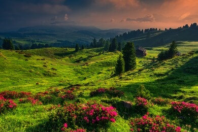 seiser alm, italy, 30 june 2019: sunrise during summer morning on the green meadows of the highest plateau in europe, seiser alm, alpe di siusi, south tyrol