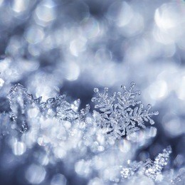 digital composite of snowflakes and winter frost