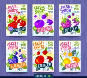 abstract splash food label . colorful brush stroke. fruits, spices, vegetables package design. cherries, strawberry, blueberry, cranberry, blackberry, mulberry. organic, fresh. drawing vector