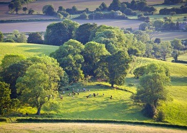 idyllic rural view of gently rolling patchwork farmland and villages with pretty wooded boundaries, in the beautiful surroundings of the cotswolds, england, uk.
