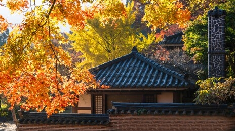 beautiful mountain and autumn landscape in korea
