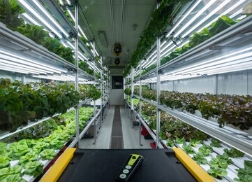 sustainable modern hydroponic vegetables production