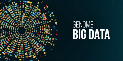 dna test, genomic big data infographic. chromosome architecture, molecule sequencing chart visualization, genome sequence map. genetic, barcoding graphic template background. technology illustration