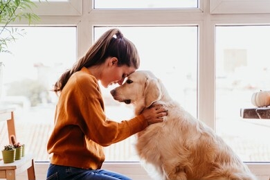 beautiful woman hugging her adorable golden retriever dog at home. love for animals concept. lifestyle indoors