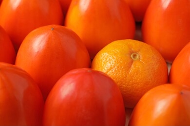 juicy persimmon and sweet tangerine closeup.