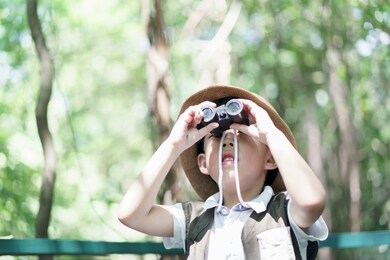 a little boy with binoculars during hiking in the forest. the child is looking through binoculars. concept of kid's adventure.
