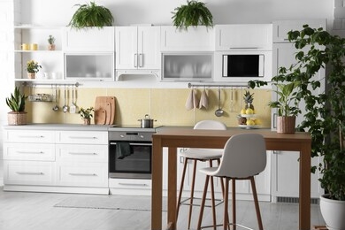 stylish kitchen interior with green plants. home decoration