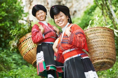 group of happy chinese minority woman yao in traditional dresses outdoors