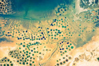 aerial view of artificial salt farm.. senegal. west africa. photo made by drone from above.