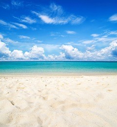 beautiful beach and tropical sea