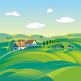 summer day, rural landscape