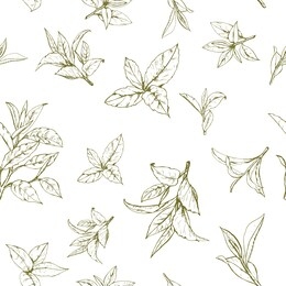 seamless pattern with green tea, hand-drawn leaves and branches of tea