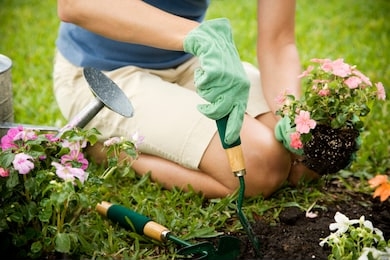 cropped image of woman gardening