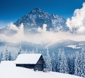 fantastic winter landscape and blue sky. creative collage. beauty world.