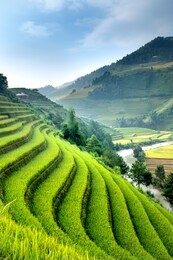beautiful terraced rice paddy field and mountain landscape in mu cang chai. rice is still green and spread across the mountains in mu cang chai, vietnam