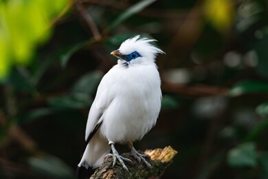 little bird perched on a branch