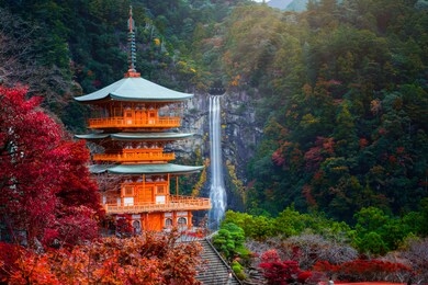kumano nachi taisha shrine with waterfalls along in view at season change of autumn, the famous and popular tourist place in kumano of japan 