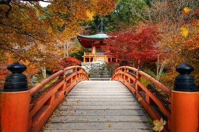 wooded bridge in daigoji temple with autumn background in kyoto city, japan