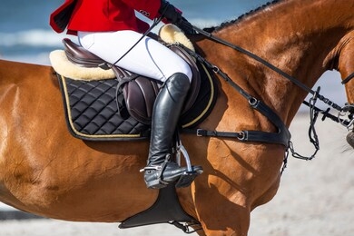 horse jumping, equestrian sports themed photo.