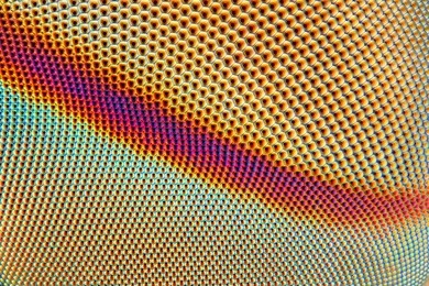 an extreme sharp and detailed microscopic close up of the compound eye of a horse fly taken with microscope objective.