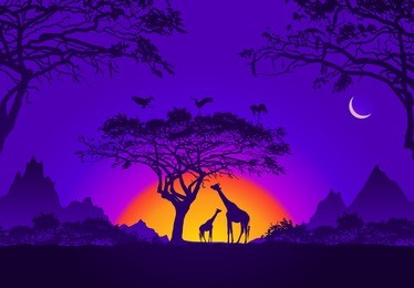 african sunset