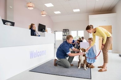 pet dog owner with vet in surgery waiting room reception