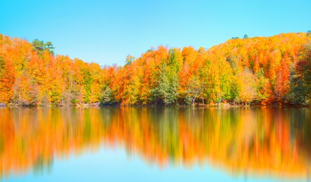 autumn landscape in (seven lakes) yedigoller park bolu, turkey