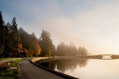 misty sunrise at stanley park